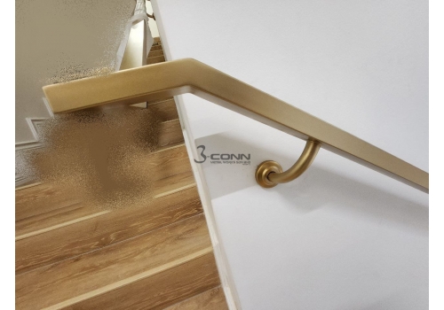 Stainless Steel Wall Mounted with Gold Chrome Handrail